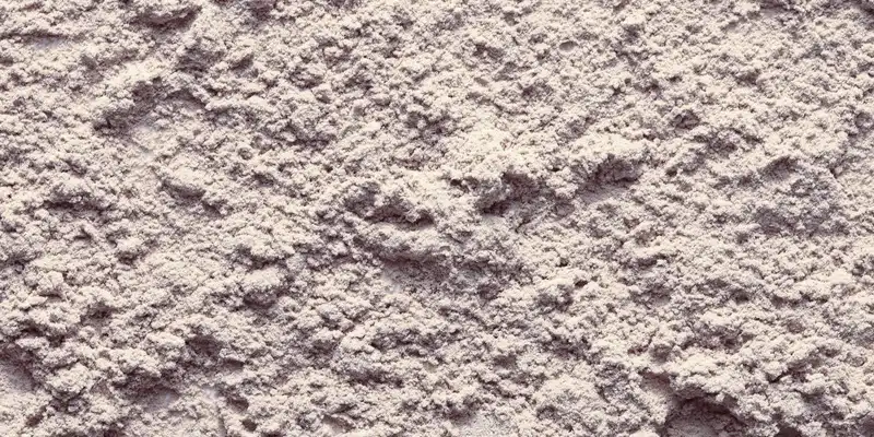 Blue corn flour