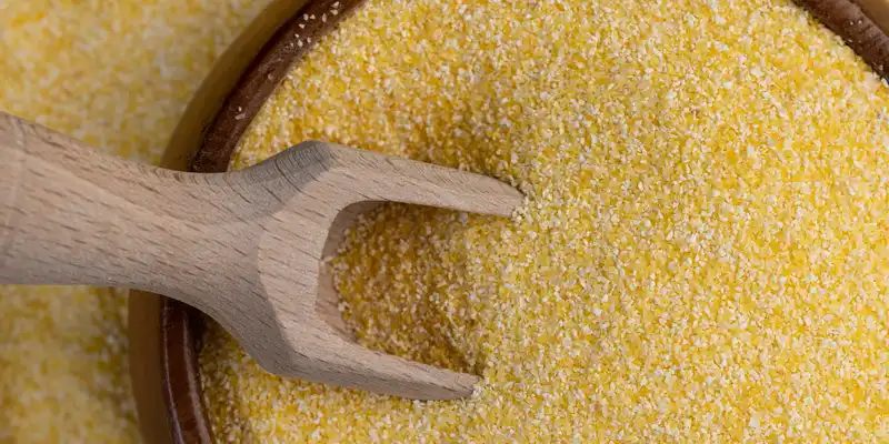 Yellow whole grain corn flour