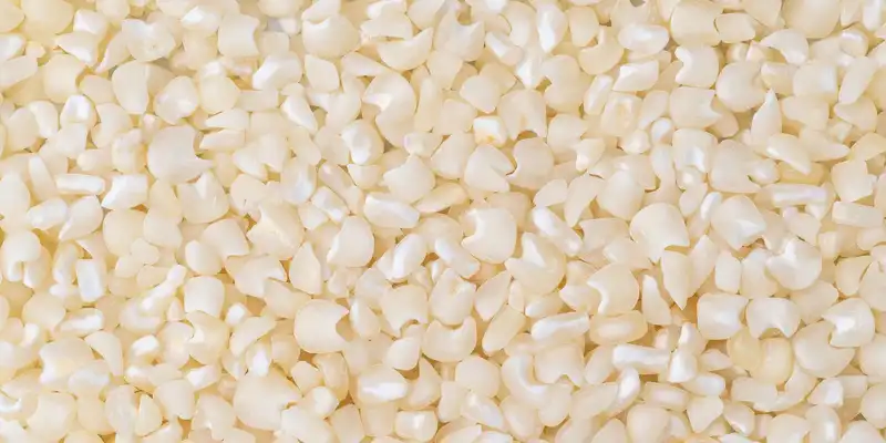 White corn grain