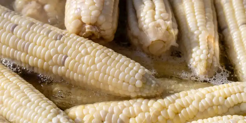 Boiled white corn sweet