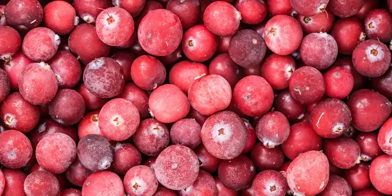 Raw cranberry