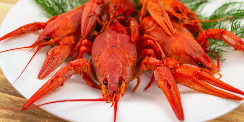 Simmered or steamed crayfish