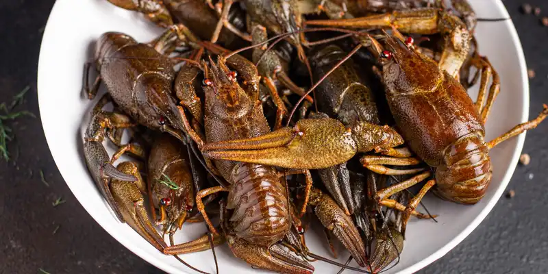 Raw wild crayfish