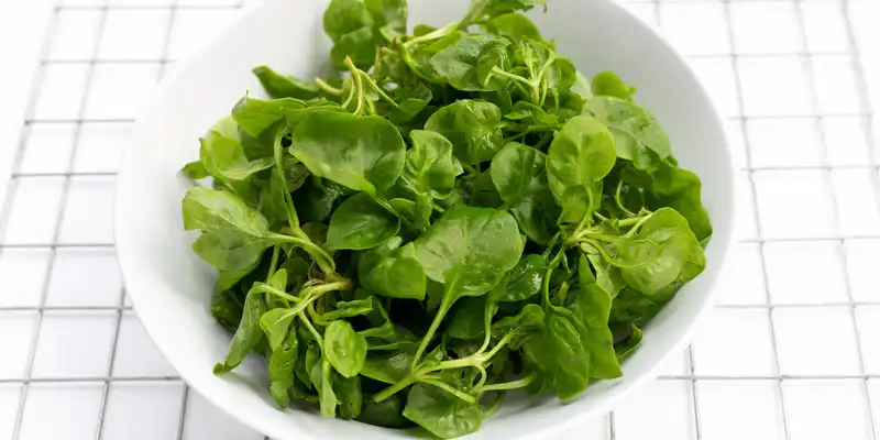 Raw garden cress