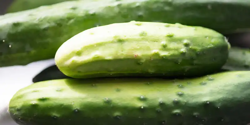 Cucumber (sweet)