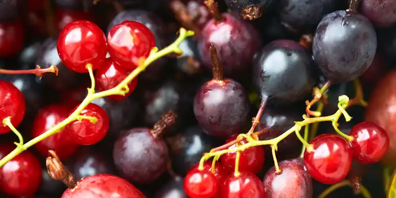 Raw currant