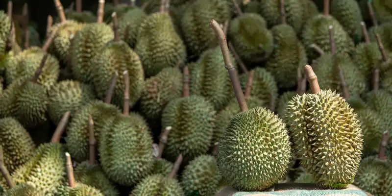 Durian