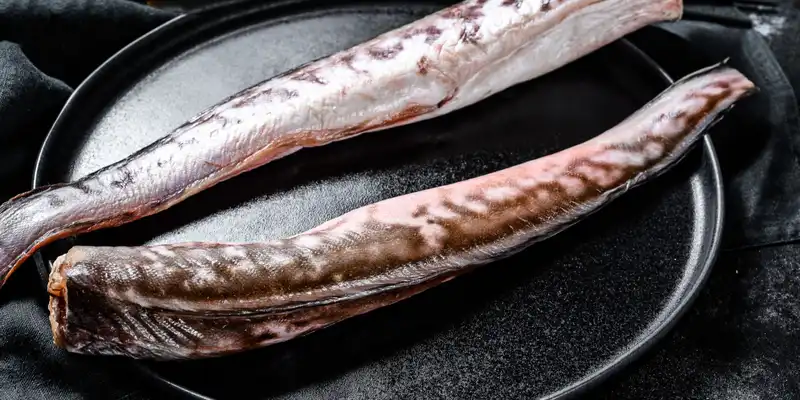 Eel