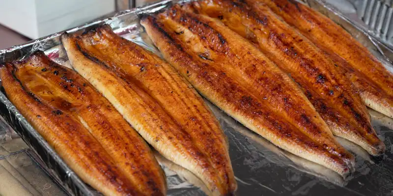 Baked or broiled eel