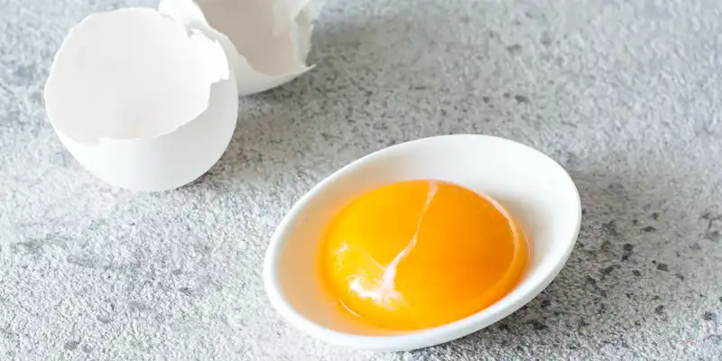 Egg yolk