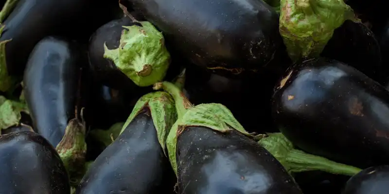 Raw eggplant