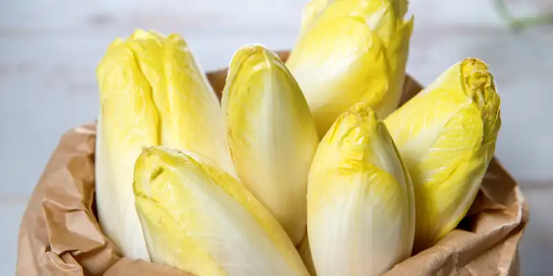 Endive