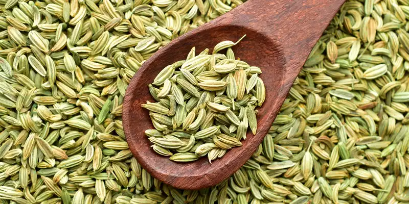 Fennel seed