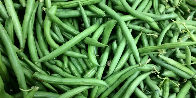 French beans