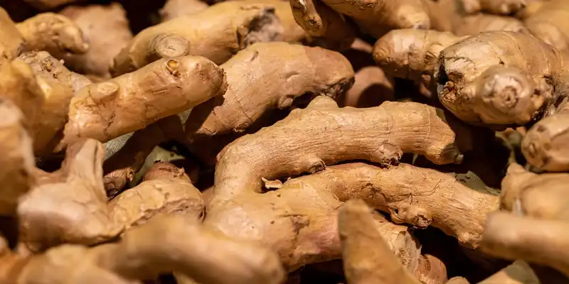 Ginger root