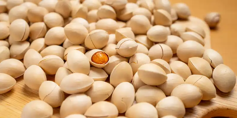 Nueces de ginkgo crudas