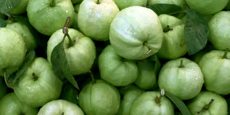 Guayaba cruda