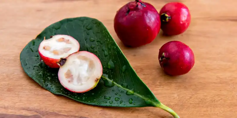 Guava căpșuni crudă