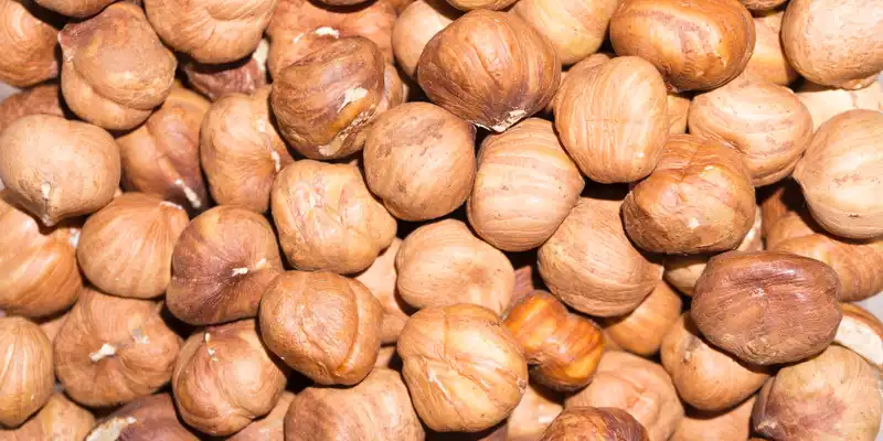 Hazelnuts