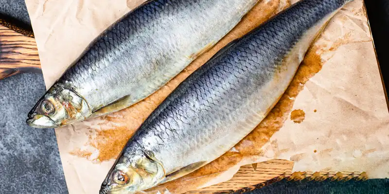 Cooked atlantic herring