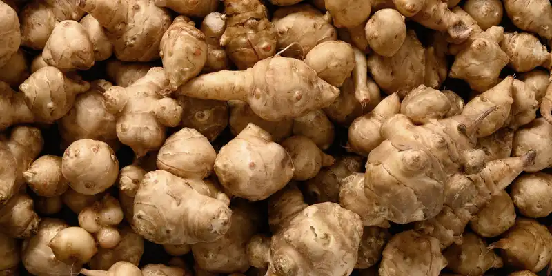 Jerusalem artichokes