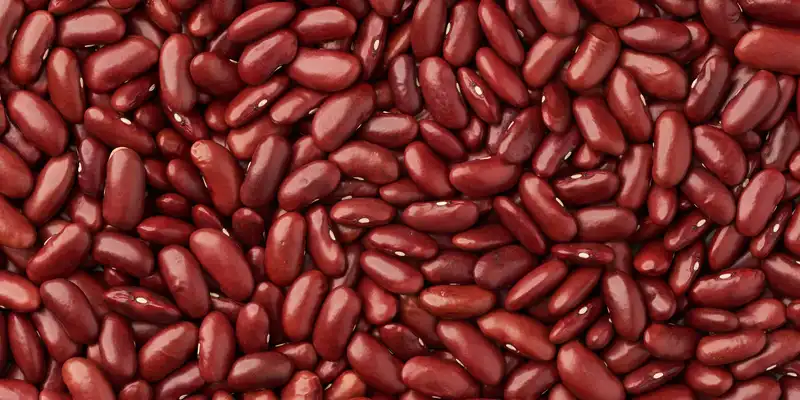 Kidney beans