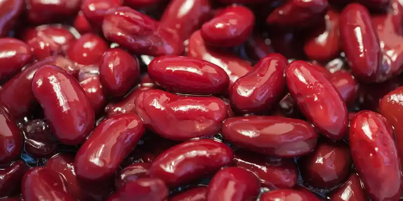 Boiled california red kidney beans (with salt)