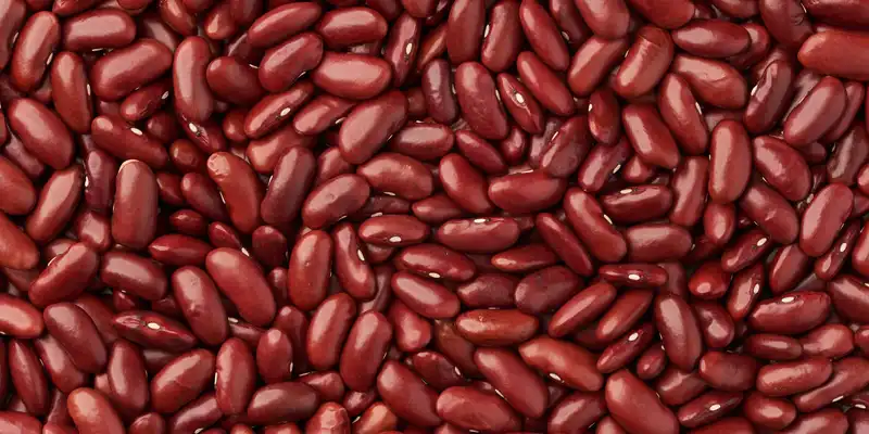 Raw kidney beans