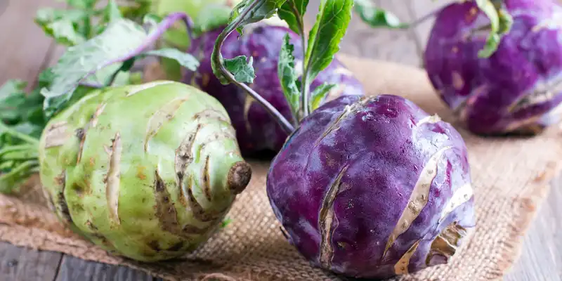 Kohlrabi (mit Salz)