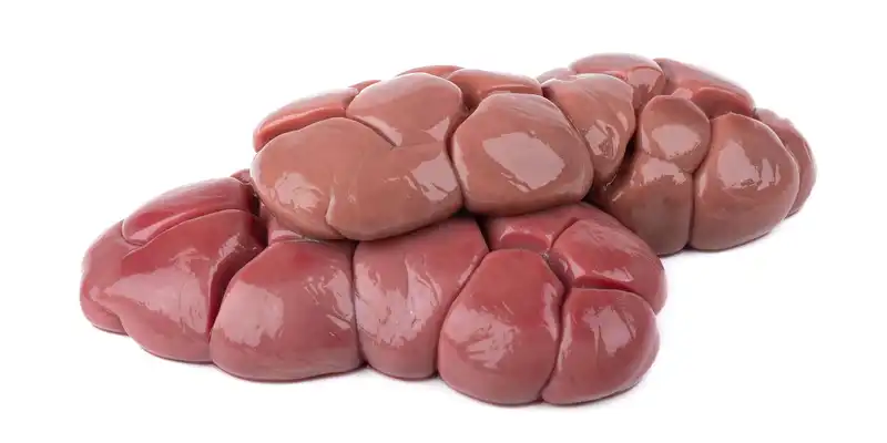 Lamb kidneys