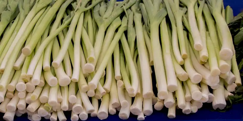 Leeks (without salt)