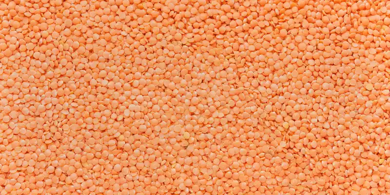 Lentils