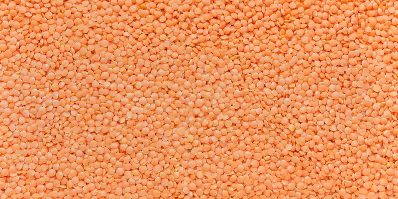 Raw lentils