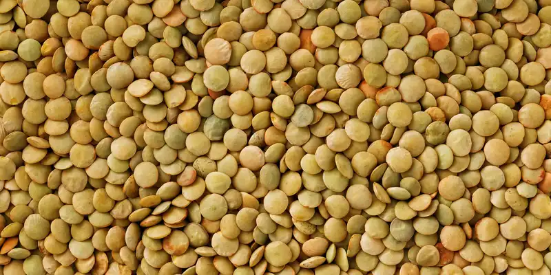 Lentils (with salt)