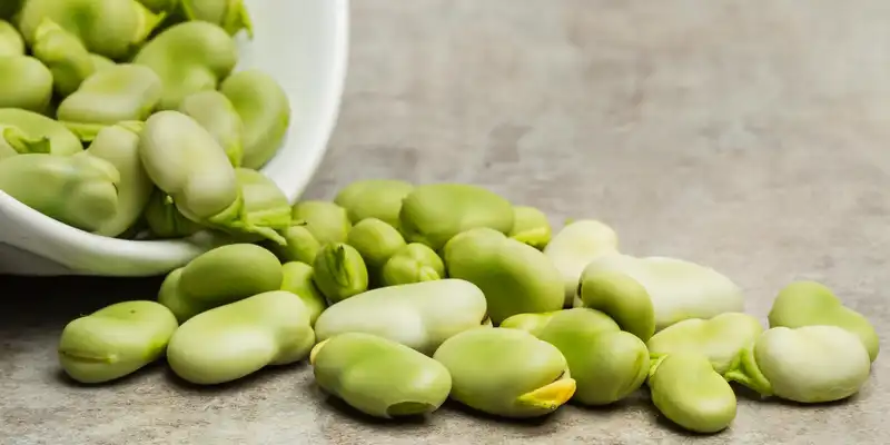 Baby lima beans (with salt)