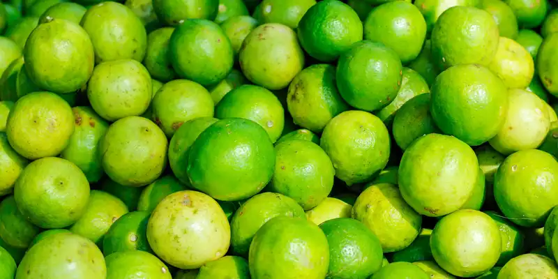 Lime