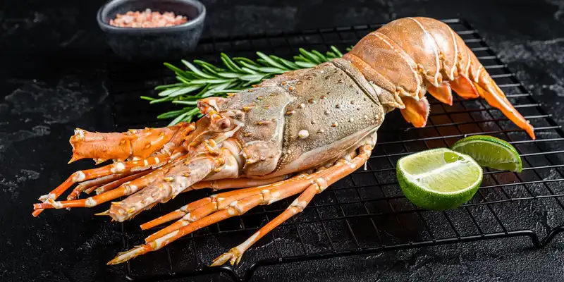 Homard mijoté ou cuit à la vapeur