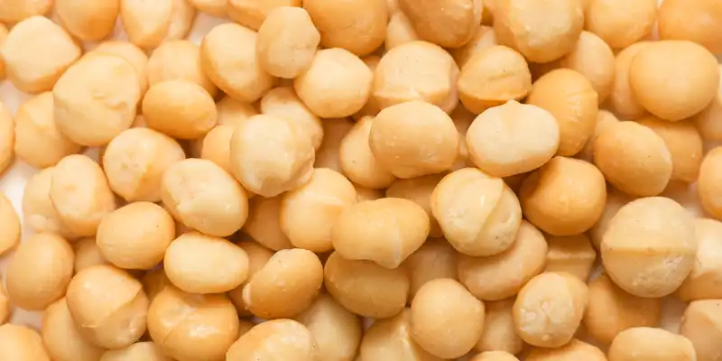 Noix de macadamia grillées à sec