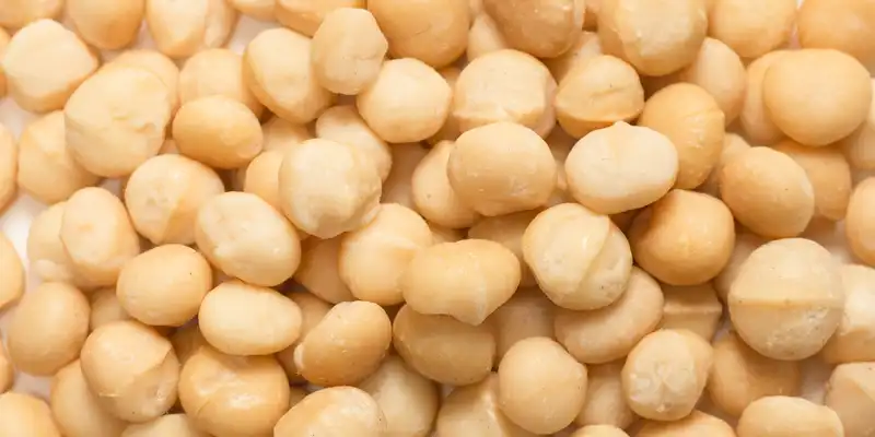 Macadamia nuts (with salt)