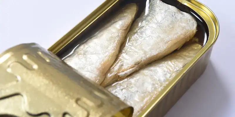 Canned mackerel