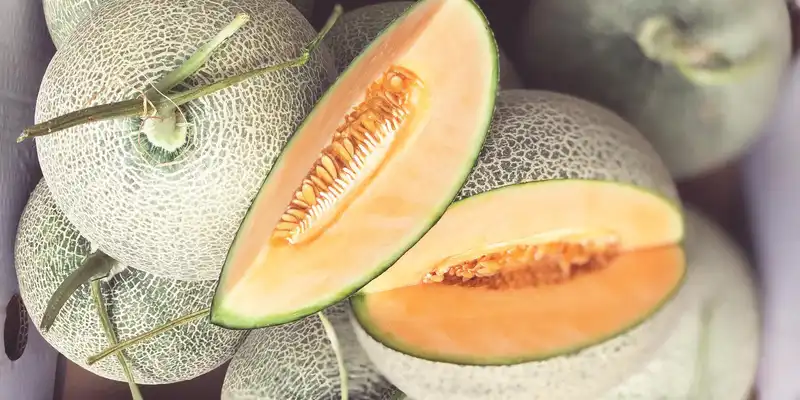 Surowy melon kantalupa