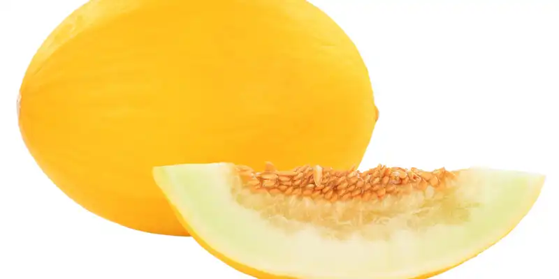 Surowy melon spadziowy