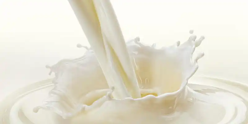 Leche de cabra (con vitamina D añadida)