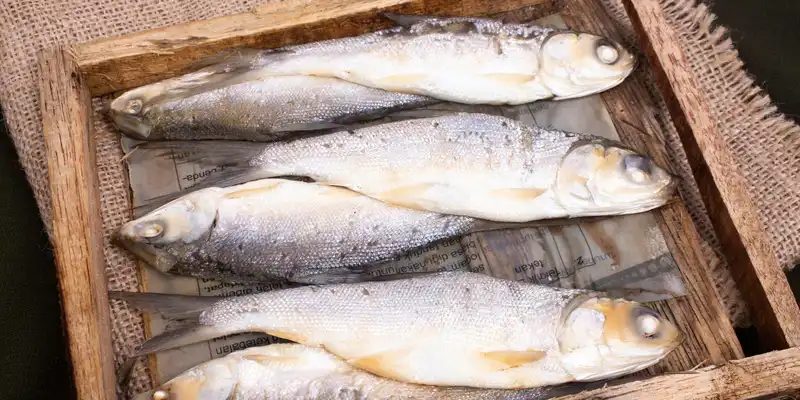 Pesce lattiero crudo