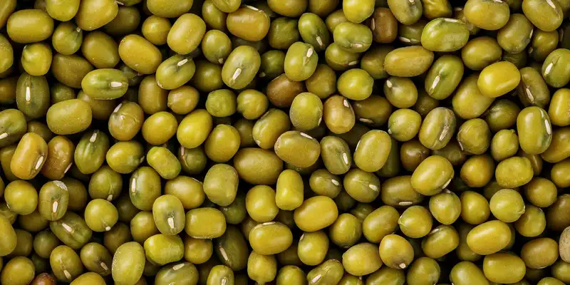 Mung beans