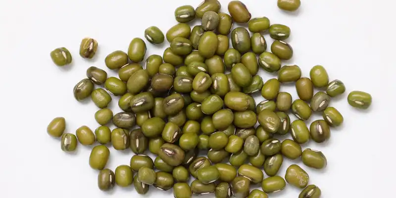 Canned mung beans