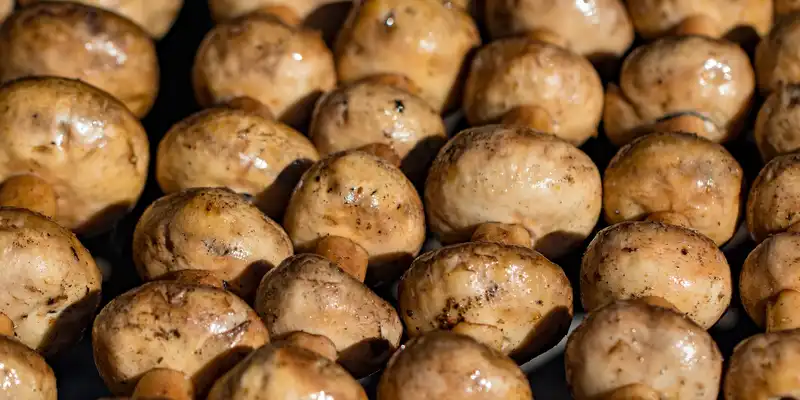 Microwaved mushrooms