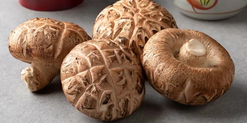 Shiitake mushrooms (with salt)