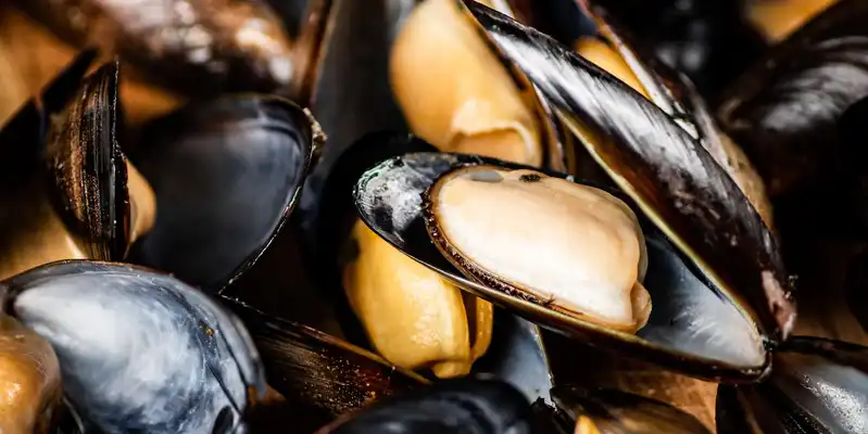 Mussels