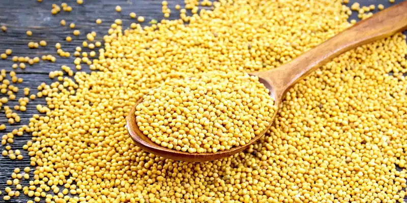 Mustard seed